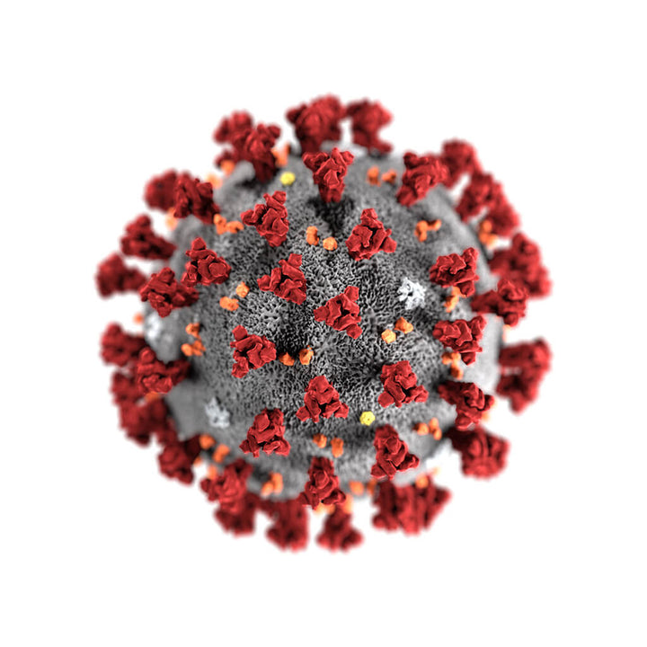 Killing Coronavirus with UV Light in COVID-19 Pandemic Days