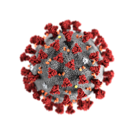 Killing Coronavirus with UV Light in COVID-19 Pandemic Days