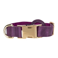Scobby Leather Dog Collar
