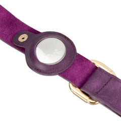 Scobby Leather Dog Collar