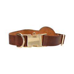 Scobby Leather Dog Collar