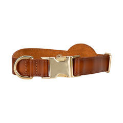 Scobby Leather Dog Collar