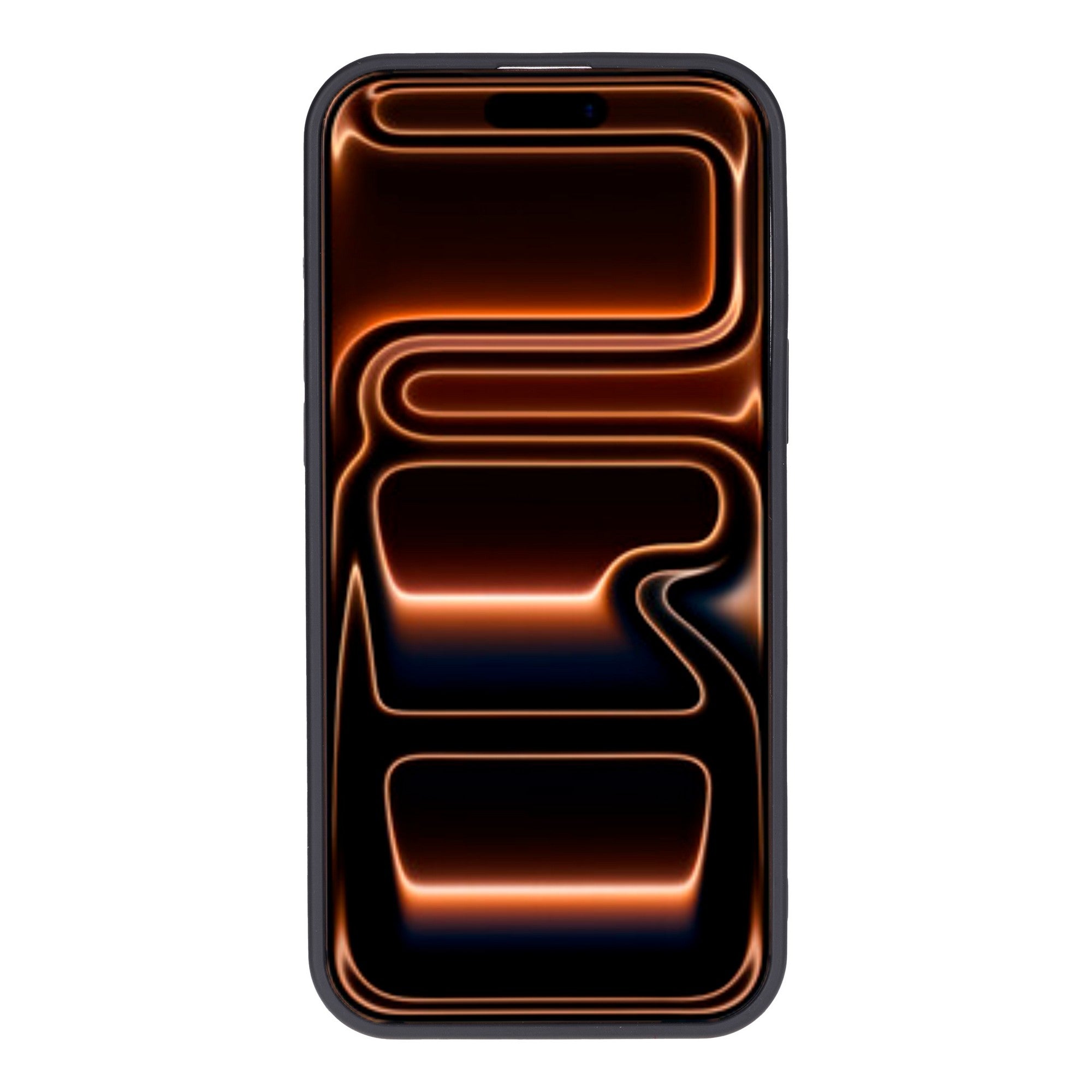 Lucca Snap On Leather Case for iPhone 17 Pro