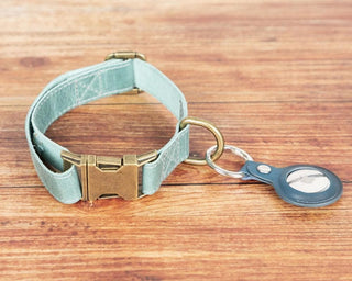 Scobby leather dog collar in Chartreuse