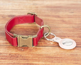 Scobby leather dog collar in Sandy Red