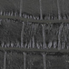 Black Crocodile