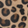 Furry Leopard